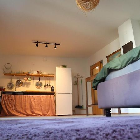 Cozy & Charming City Apartment Viyana Dış mekan fotoğraf